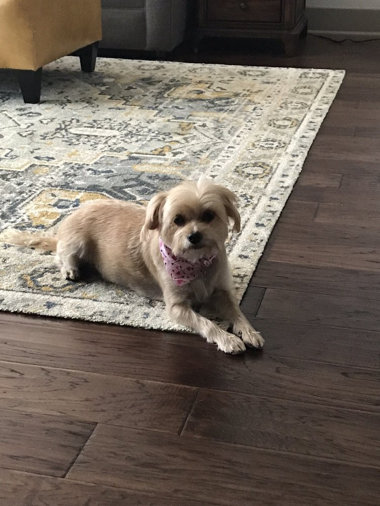 PETCO 26 Photos & 53 Reviews 14010 Us183, Austin, TX Services Yelp