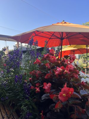 Washington Square Bar & Grill by null