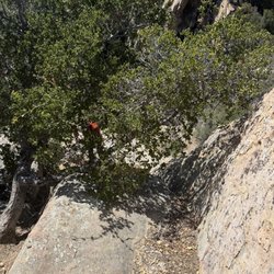 Gibraltar Rock