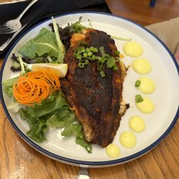Bronzed catfish