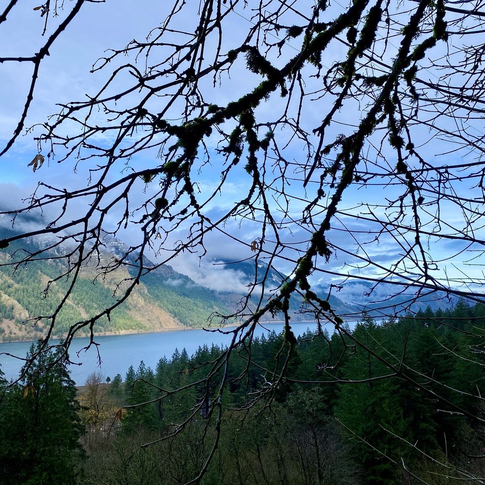 Starvation Creek State Park - Hiking Near Me - Cascade Locks, Oregon Starvation Creek State Park - Hiking Near Me - Cascade Locks, Oregon