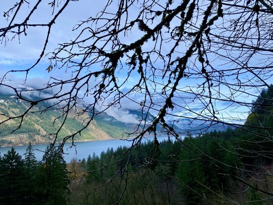 Starvation Creek Falls by null