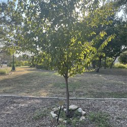 Gutierrez Xeriscape Park