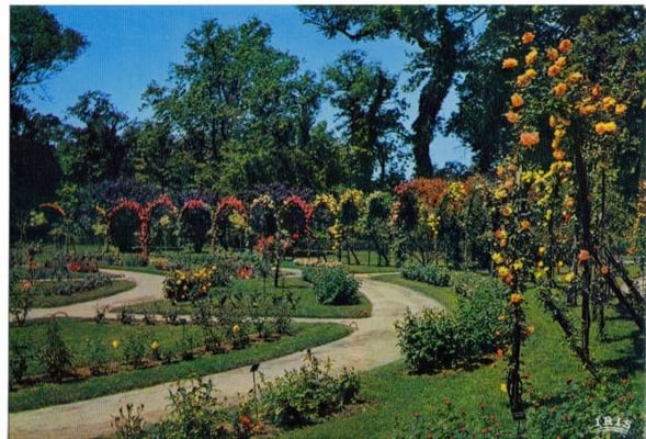 Parc Borély by null