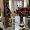 Market Blooms gift card