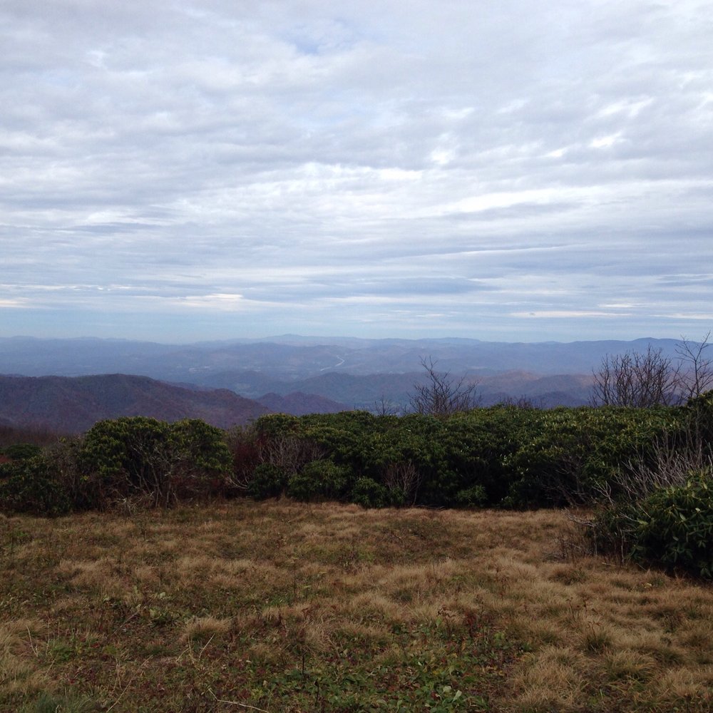 Craggy Gardens - Hiking Near Me - Black Mountain, North Carolina Craggy Gardens - Hiking Near Me - Black Mountain, North Carolina
