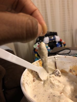 Ye Ole Fashioned Ice Cream and Sandwich Cafe by null