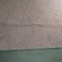 Carpet Repair Service