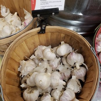 Grange Supply - Part of their garlic selection in September - Nurseries & Gardening Near Me - Issaquah, Washington