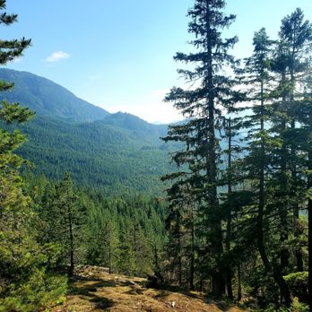 Sea To Sky Gondola - Other side of the suspension bridge - Hiking Near Me - Squamish, British Columbia Sea To Sky Gondola - Other side of the suspension bridge - Hiking Near Me - Squamish, British Columbia