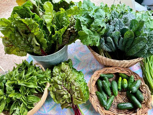 Sunday Brunch Farmers Market by null