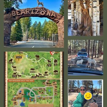 Bearizona - Zoos Near Me - Williams, Arizona Bearizona - Zoos Near Me - Williams, Arizona