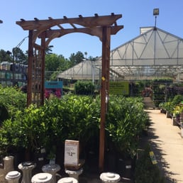 The garden center
