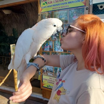 Smile For The Birdie - Party & Event Planning Near Me - Long Beach, California