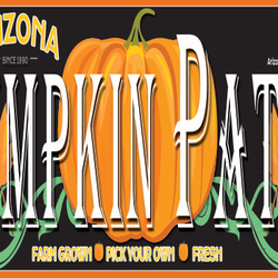 Arizona Pumpkin Patch