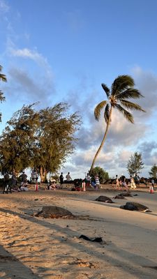 Poipu Beach Park by null