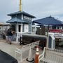 Photo of Little Toot Dolphin Adventure