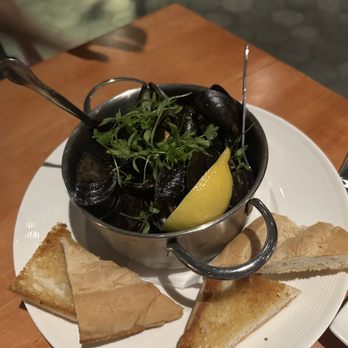 Watervue Grille - Steamed mussels - Seafood Near Me - Tampa, Florida Watervue Grille - Steamed mussels - Seafood Near Me - Tampa, Florida