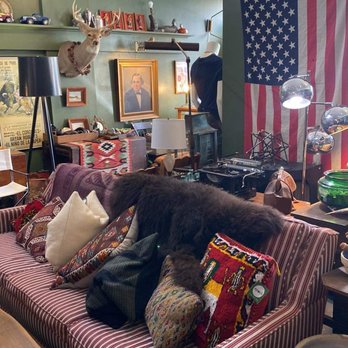 Chase’s Pre-read Books - Used, Vintage & Consignment Near Me - Belfast, Maine