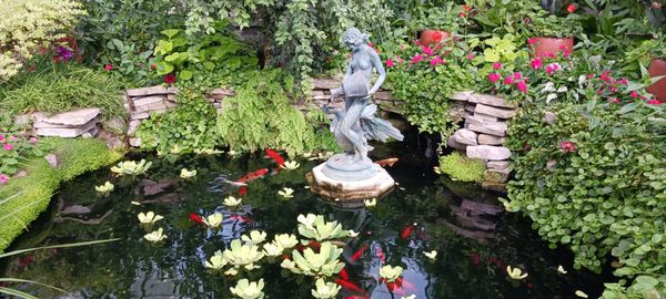 Allan Gardens Conservatory by null