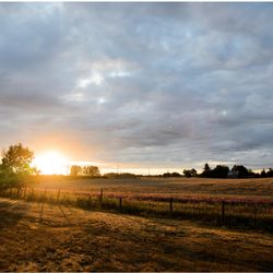 Wooden Shoe Vineyards - Photo by Peter Mahar