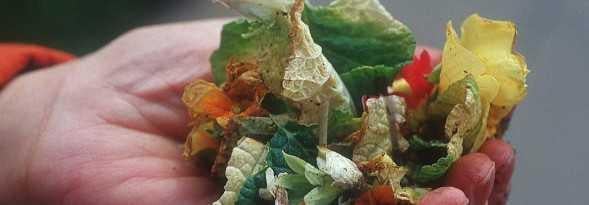 Portland Farmers Market at PSU by null