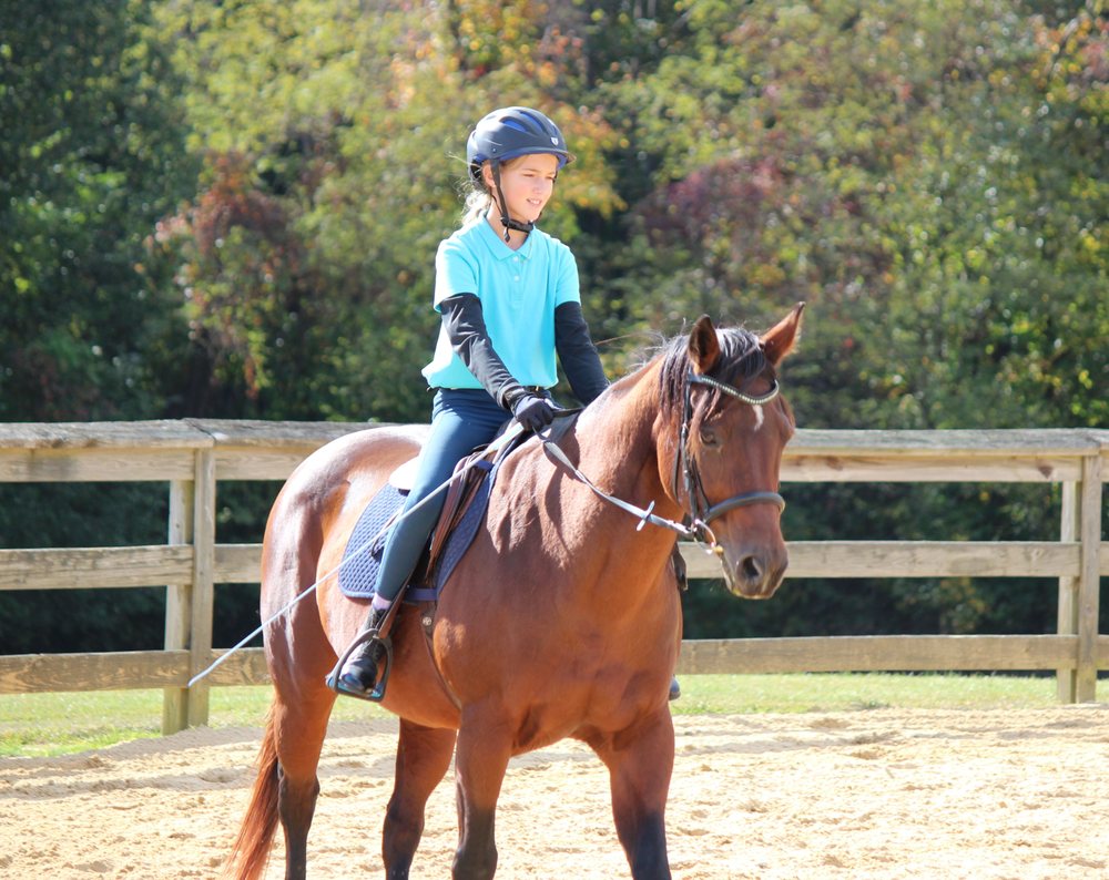 Clarity Riding - equestrian in Davidsonville, MD