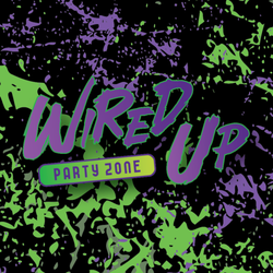 Wired Up Party Zone