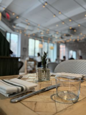 Rosemary's East by null