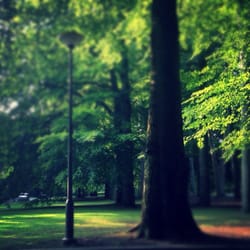 Park Den Brandt