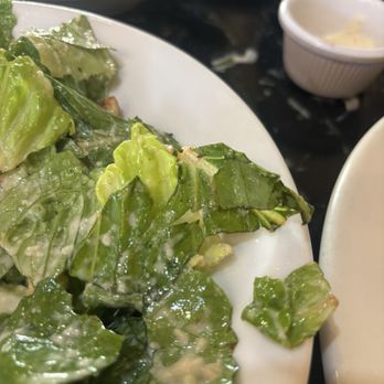 Pascucci - Fly in the salad. Top right. - Italian Near Me - Santa Barbara, California