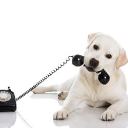 Hometown Insurance Agency