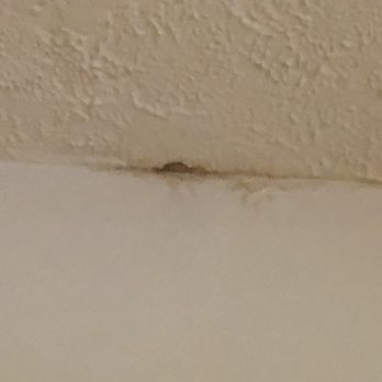 Cole Spring Plaza - mold on the ceiling - The image shows a section of the ceiling with visible mold growth near the wall. The mold appears as a dark, discolored patch on the textured ceiling surface, suggesting potential moisture problems or water damage in the area. - Apartments Near Me - Silver Spring, Maryland