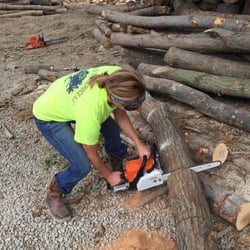 Baird's Tree Service - BTS preparing for the rush of firewood sales