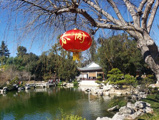 Dina’s Dumpling - Shrimp Dumplings | Pork Dumplings | Beef Dumplings | Chicken Dumplings by null