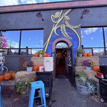 Dark Sky Brewing - Breweries Near Me - Flagstaff, Arizona
