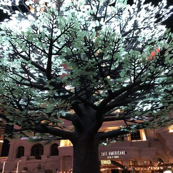 Absinthe - Tree outside Absinthe Tent - Performing Arts Near Me - Las Vegas, Nevada