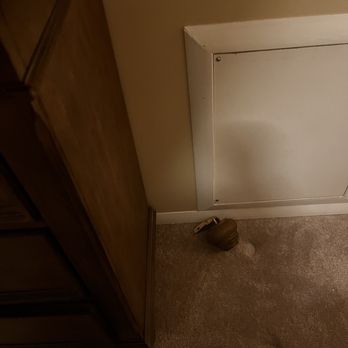 Reasonable Movers - Broken dresser leg - A broken dresser leg is on a beige carpeted floor next to a wooden furniture piece and a white wall vent. - Movers Near Me