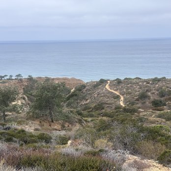 Torrey Pines State Reserve - Parks Near Me - La Jolla, California Torrey Pines State Reserve - Parks Near Me - La Jolla, California