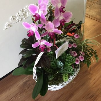 The Special Touch Flowershop - European Dish Garden - Florists Near Me - Miami, Florida
