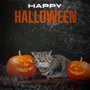 Photo of Tails & Bows Pet Grooming 
