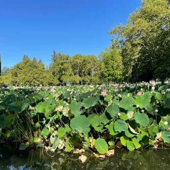 William Land Park - Parks Near Me - Sacramento, California William Land Park - Parks Near Me - Sacramento, California