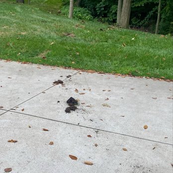 TruGreen Lawn Care - Tree Services Near Me - Portage, Michigan