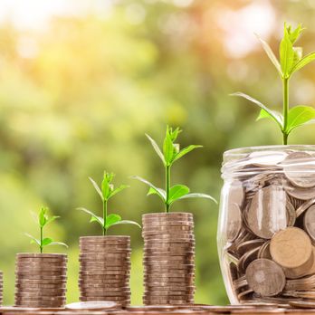 Great Dane Inventory Service - Increase Your Profits! - Professional Services Near Me Great Dane Inventory Service - Increase Your Profits! - Professional Services Near Me