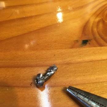 Dr Coffee Coffee Services - The screw was removed - Appliances & Repair Near Me Dr Coffee Coffee Services - The screw was removed - Appliances & Repair Near Me