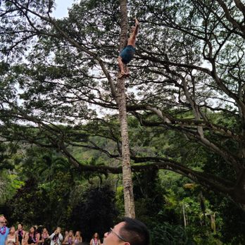 Toa Luau - Coconut tree climbing - Cultural Center Near Me - Haleiwa, Hawaii