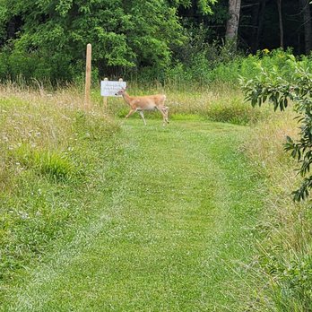 Hayfields State Park - Deer Crossing - Parks Near Me - Williamsville, Virginia