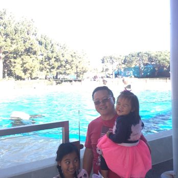 Dine With Orcas - Buffets Near Me - San Diego, California Dine With Orcas - Buffets Near Me - San Diego, California