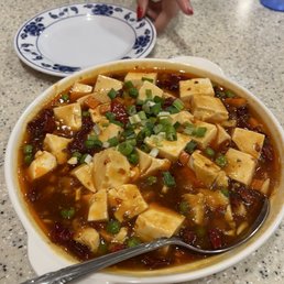 Mapo Tofu