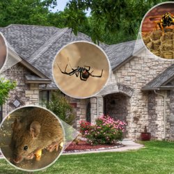 Huron Pest Control